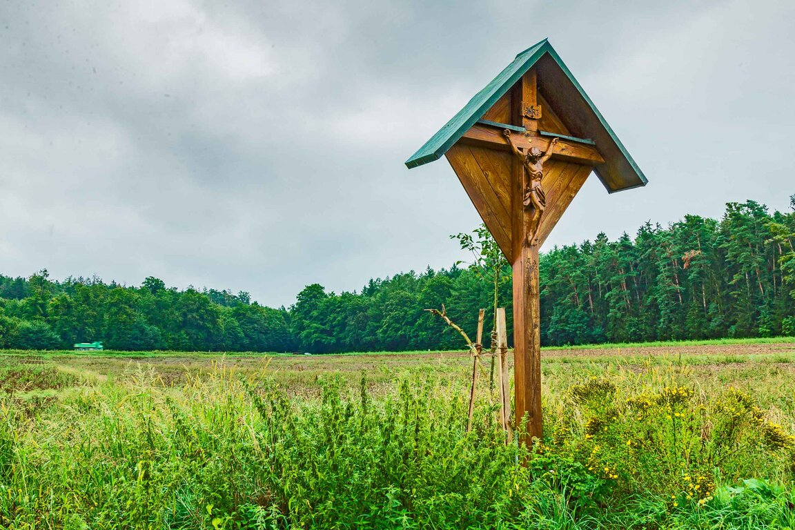 Image: 20_JA13402 Mülldeponie-Abwehr.jpg